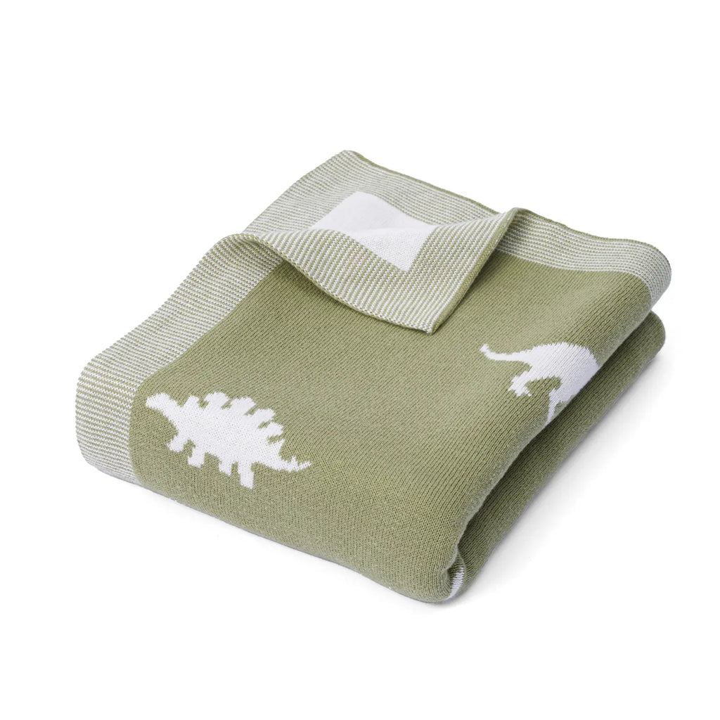 Dinosaur Jacquard Knit Baby Blanket